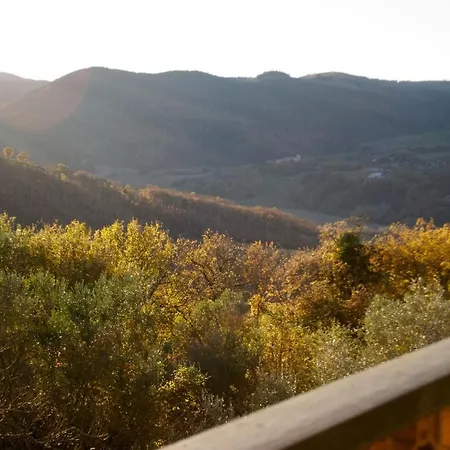 La Malcontenta E Il Lupo ヴィラ トーディ