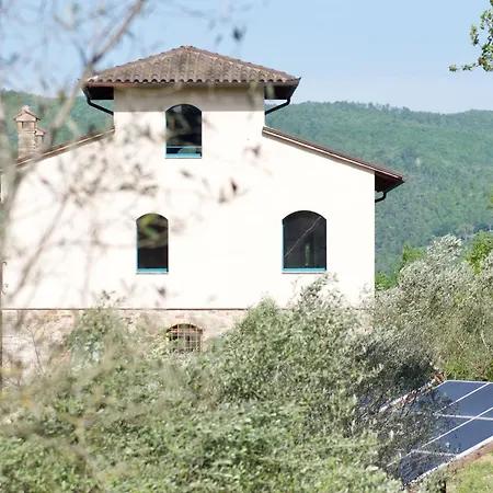 La Malcontenta E Il Lupo Todi