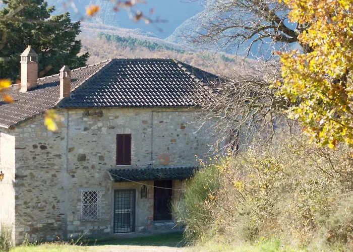 La Malcontenta E Il Lupo Villa