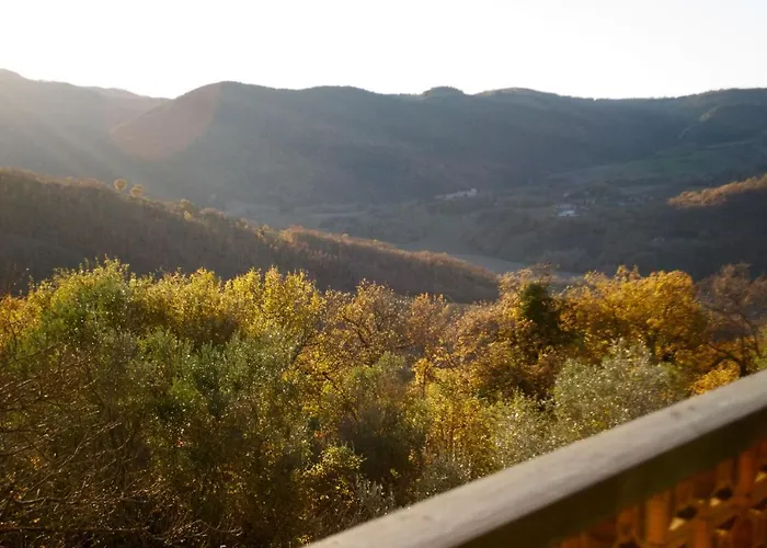 La Malcontenta E Il Lupo Villa Todi