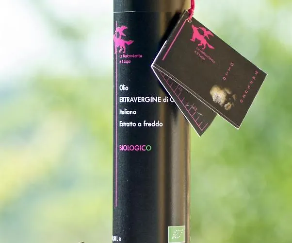 La Malcontenta E Il Lupo Villa