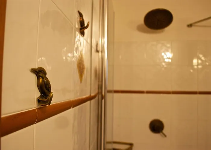 La Malcontenta E Il Lupo * Todi